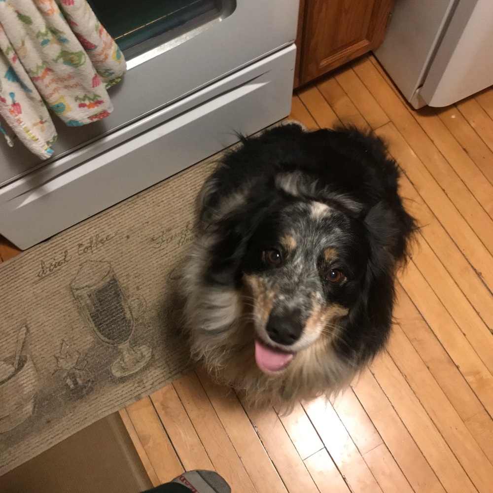 Meet your Posher, Loni